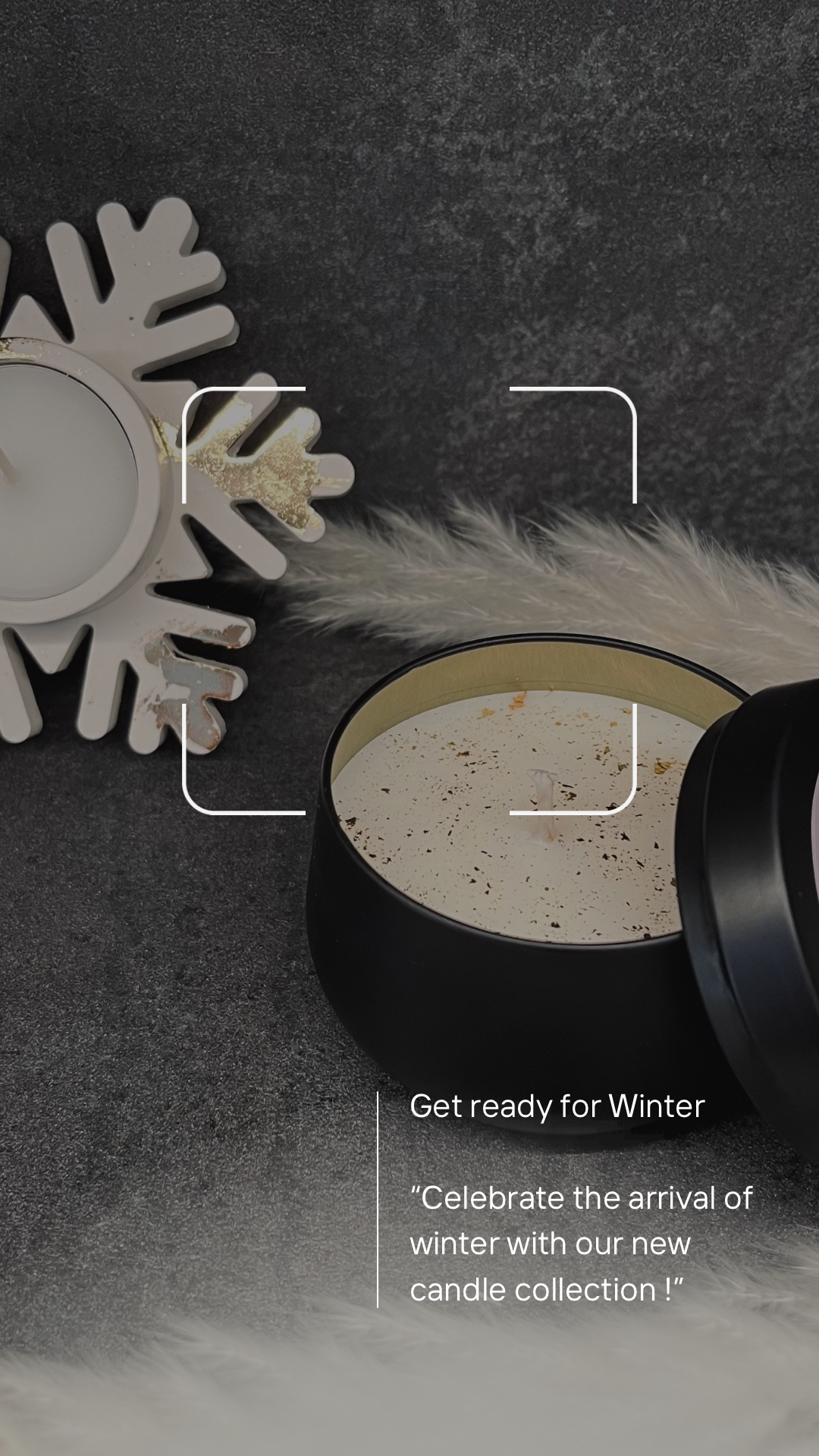 Collection hivernale
